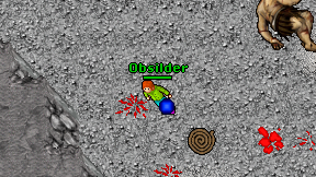 Obsilder on screen
