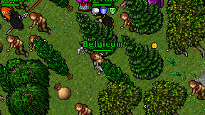 Belgicum on screen