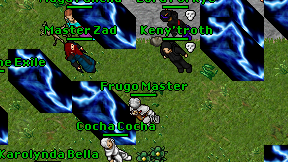 Frugo Master on screen