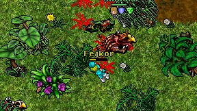 Fejkor on screen
