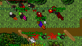 Gocek on screen