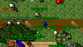 Tche Cerebro on screen