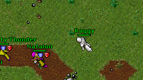 Raggy on screen
