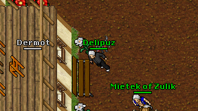 Delipuz on screen
