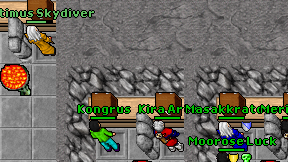Altimus Skydiver on screen