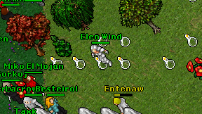 Elen Wind on screen