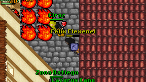 Felix Elexenel on screen