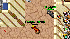 Radge-Druid on screen