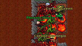 Phoenix'Hunter on screen