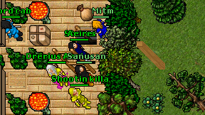 Sanusan on screen