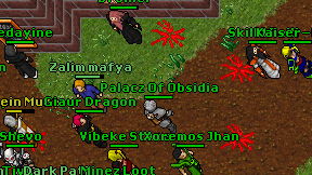 Palacz Of Obsidia on screen