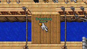 Dwadwa on screen