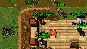 Maxoon on screen