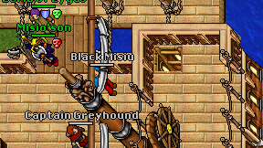 Black Misiu on screen