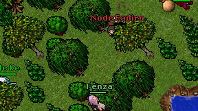 Node Fadiro on screen