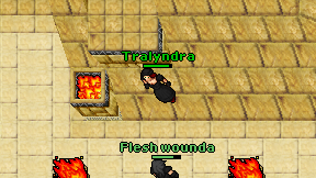 Tralyndra on screen