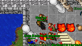 Hofas on screen