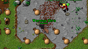 Warnor Ziro on screen
