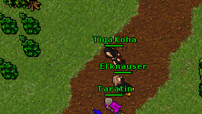 Tiga Koha on screen
