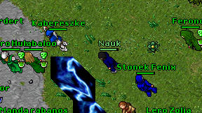Nauk on screen