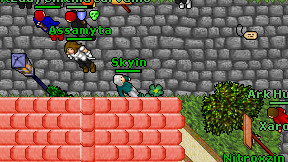 Skyin on screen