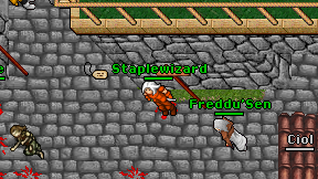 Staplewizard on screen