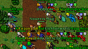Noveris Mag on screen