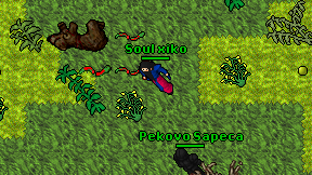 Soul xiko on screen
