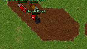 Heali Pest on screen