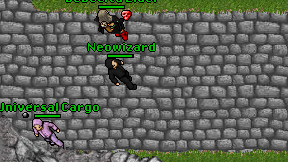Neowizard on screen