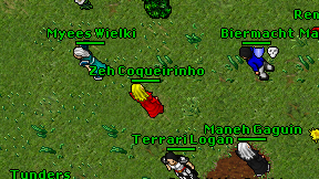 Zeh Coqueirinho on screen