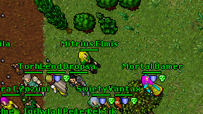 Mitrius Elmis on screen