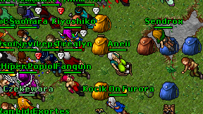 Aneii on screen