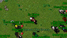 Er Ekko on screen