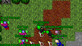 Zodagon on screen