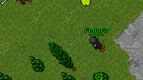 Fedarir on screen