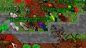 Andifan on screen