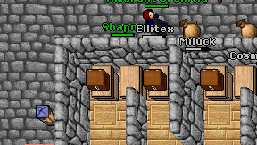 Ellitex on screen