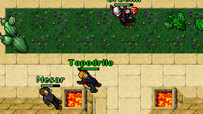 Topodrilo on screen