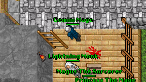 Gemini Mage on screen