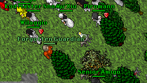 Forgotten Guardian on screen