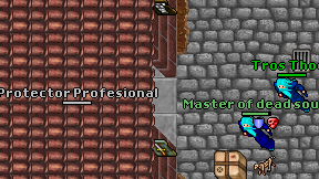 Protector Profesional on screen