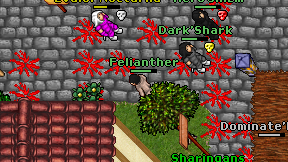 Felianther on screen