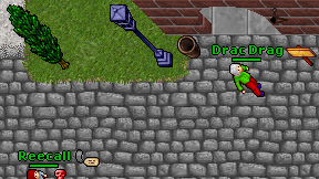 Drac Drag on screen