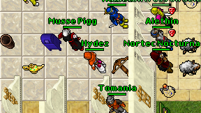 Hydez on screen
