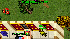Robsonpedreiro on screen