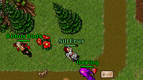 Sill Erus on screen