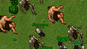 Siganoe on screen