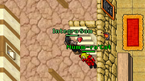 Integra Sam on screen