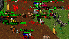 Aria Genro on screen